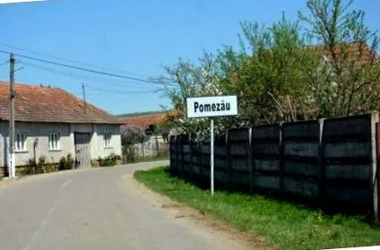 роди роди