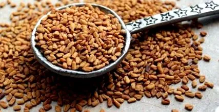 fenugreek