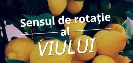 fogyás