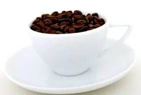 tipp tudományos