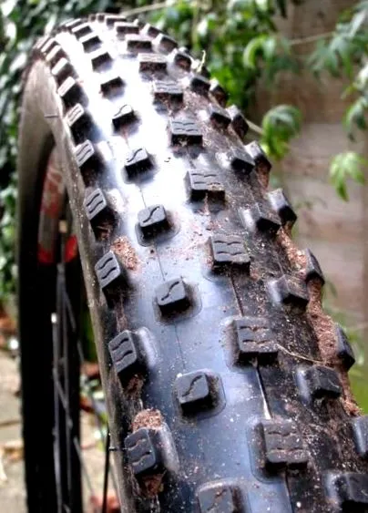 freerider