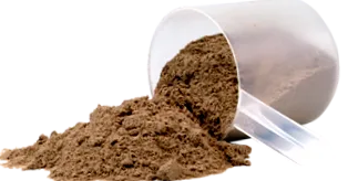 fenntartás