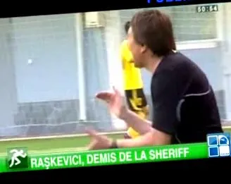 nélkül