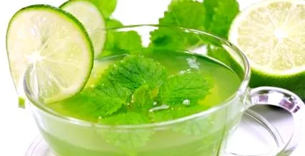 tippek