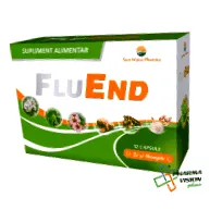légzőrendszer