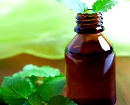 menta