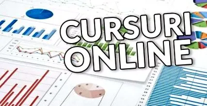 online webhely
