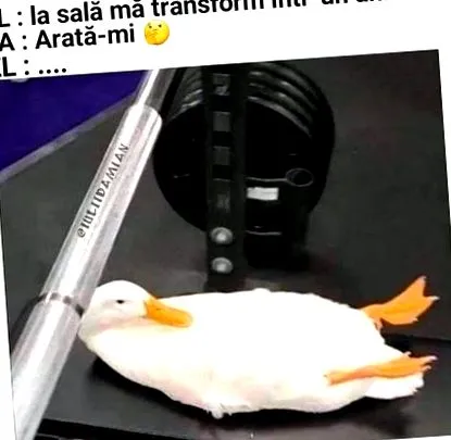слабир инстаграм