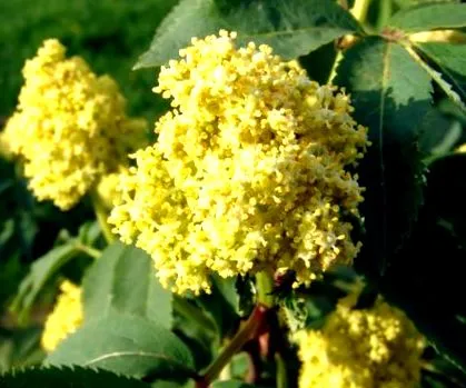 megoldások