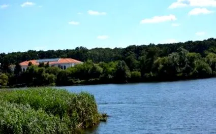 крістіна