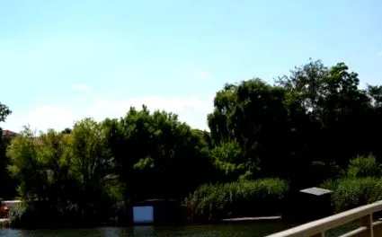 крістіна