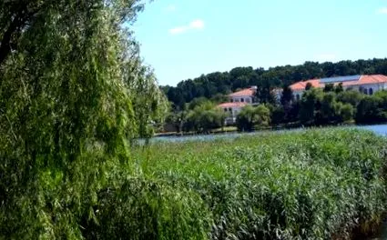 крістіна