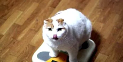 рішення
