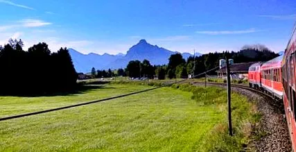 zöld terület