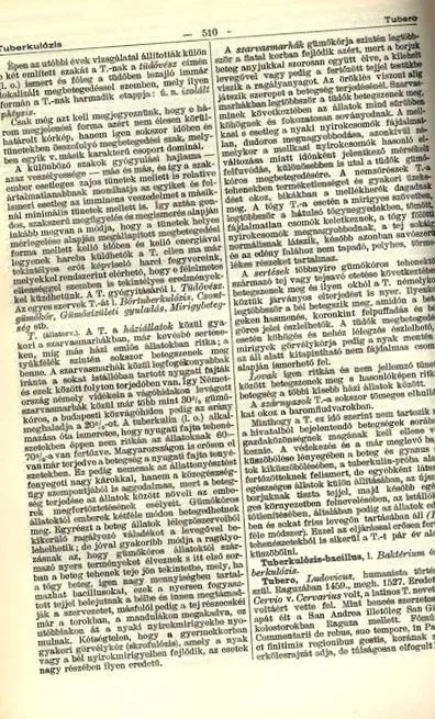 навигация scapi