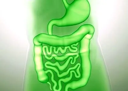 parazit oxiuri