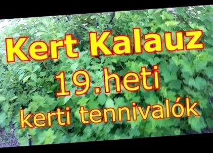 viermi scapi