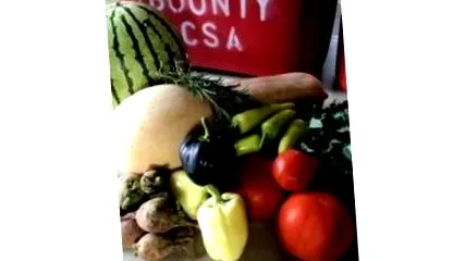 bounty shared