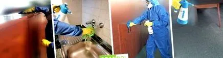 dezinfectantului efectuat