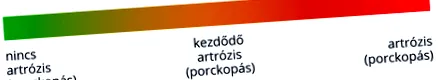 інтерпретувати інтерпретувати