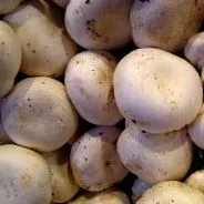 gomba