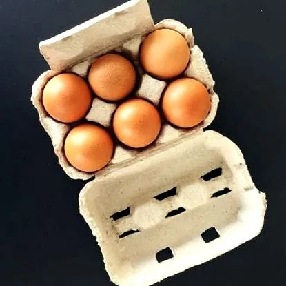 egészséges egészséges