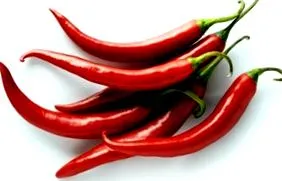 enzymes