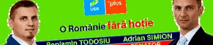 ideális