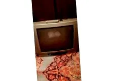 прозорци