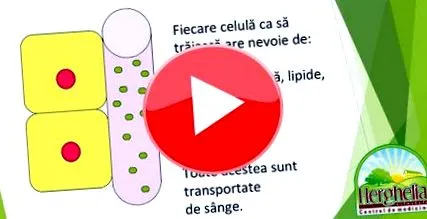 kezelésében életmódterápia