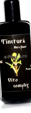 nera