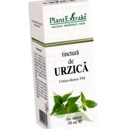 urtica csalán