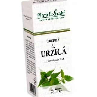 urtica urtica