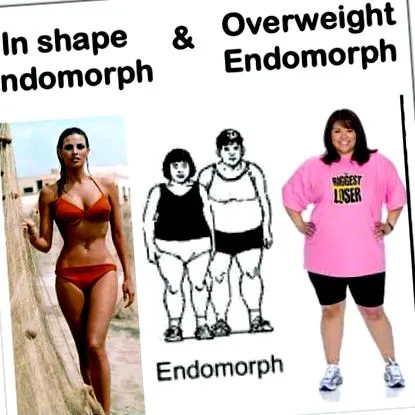 endomorphic