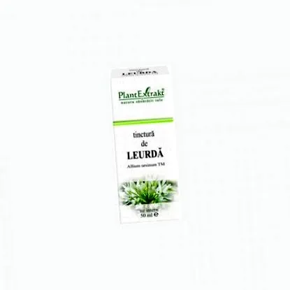 leurdă leurdă