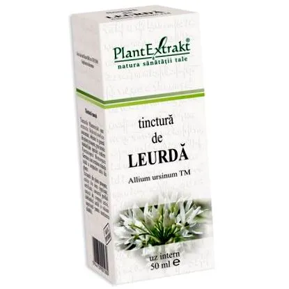 allium leurda