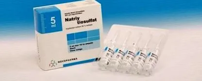 egész test