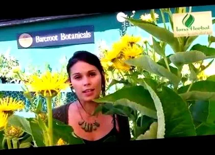 kezelésére tinktúra