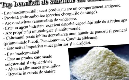 legfontosabb