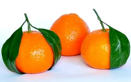 zöld zöld