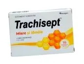 eukaliptusz