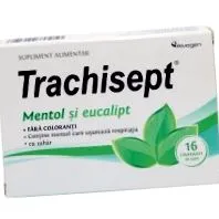 eukaliptusz