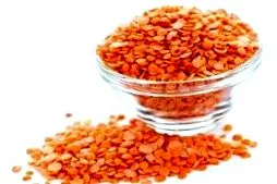 receptek