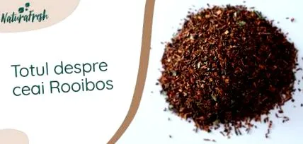 rooibos