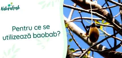 рекомендацій рекомендацій