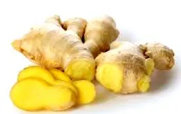 Garcinia Cambogia