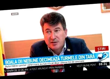 prežúvavcov