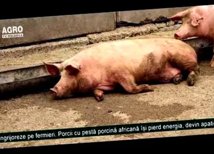 liečba