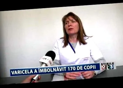 prežúvavcov