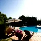 paradise